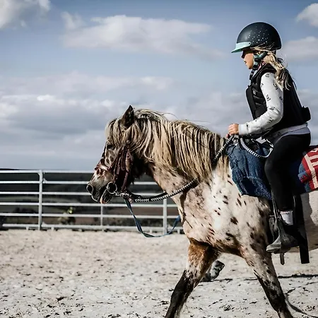 Vyhledna Beroun (Central Bohemian)